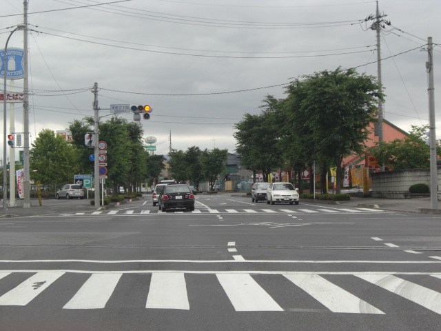 今天又去shopping mall