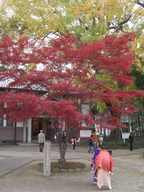日本最古老學校史跡【足利學校】