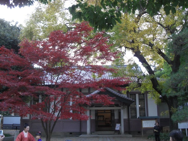 日本最古老學校史跡【足利學校】