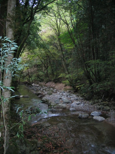 我居住的小地方