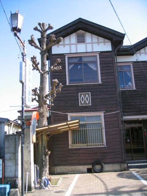 我居住的小地方