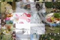 FOTO Mosaik Edda 蒙太奇圖片製作!!