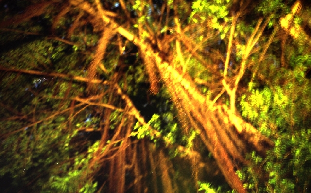 數位VS傳統~~LOMO風格