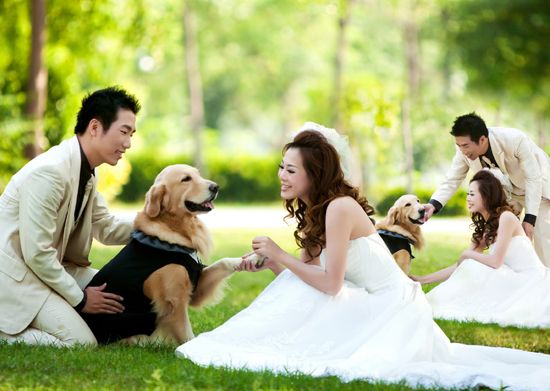 『婚紗』就要很閃很閃的婚紗照