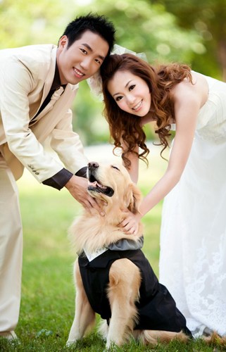 『婚紗』就要很閃很閃的婚紗照