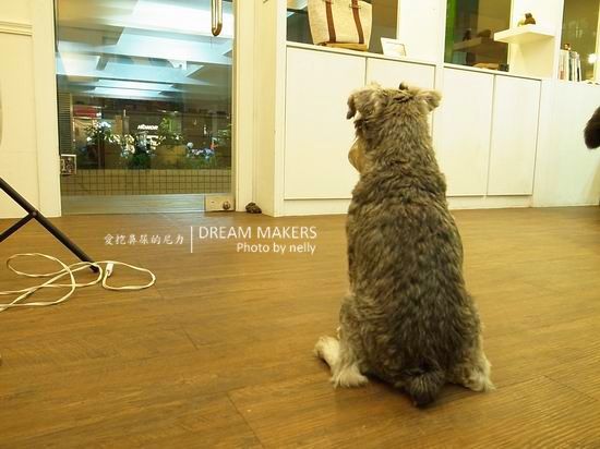 『逛街』DREAM MAKERS之特色小店