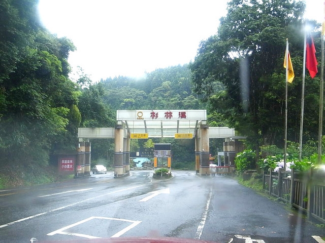 『旅遊』親近大自然,杉林溪森林我來囉∼