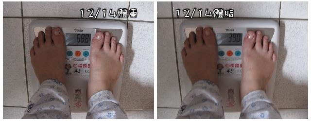 【日減150大卡】- 積少成多毅力賽→總結文