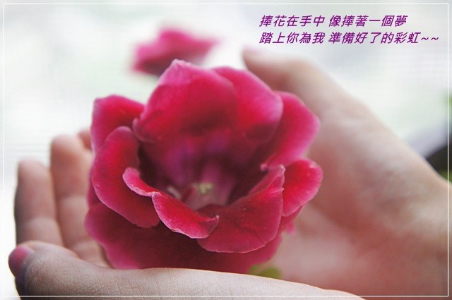 靚媽咪的甜蜜小屋陽台小花園