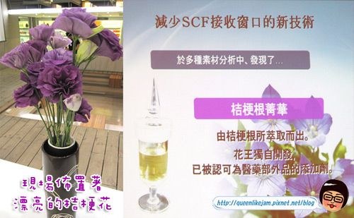 打擊霧狀斑點讓你白透亮~Sofina Whitening瀅白記者會