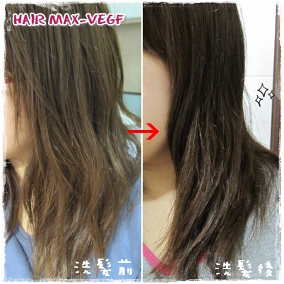 不用潤絲也有柔亮秀髮 :: HAIR MAX-VEGF 健髮保養洗髮精::