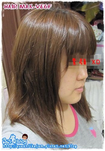 不用潤絲也有柔亮秀髮 :: HAIR MAX-VEGF 健髮保養洗髮精::