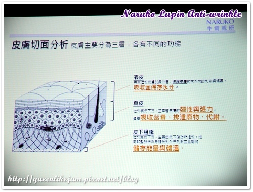 牛爾老師的最新力作★NARUKO這次推出的是!?
