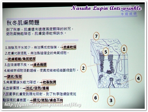 牛爾老師的最新力作★NARUKO這次推出的是!?