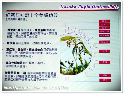 牛爾老師的最新力作★NARUKO這次推出的是!?