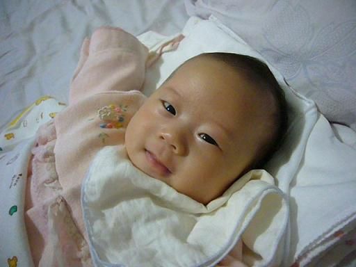 2008年歲末~今年的我,做了些什麼?