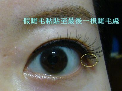 假睫毛兩種貼法大作戰~我也有貓眼了耶!