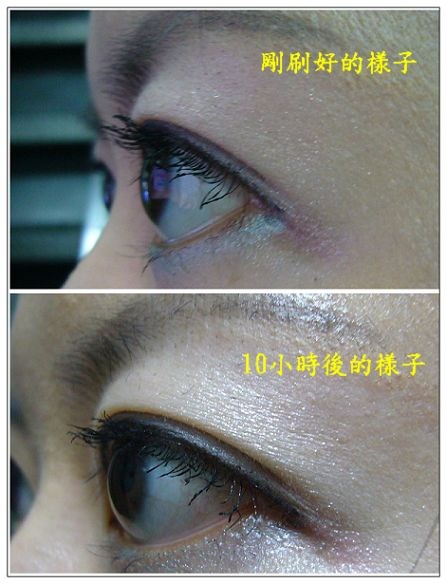 雙子星試用報告~媚比琳Maybelline快捷性感貓眼濃翹防水睫毛膏