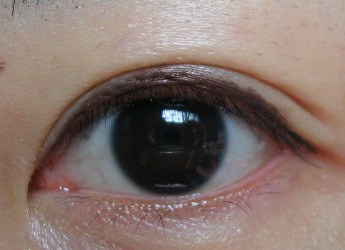 MAYBELLINE 眼戲色計師 防水眼線膠 02 深棕