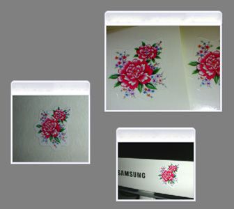 2010新的花花計畫-1
