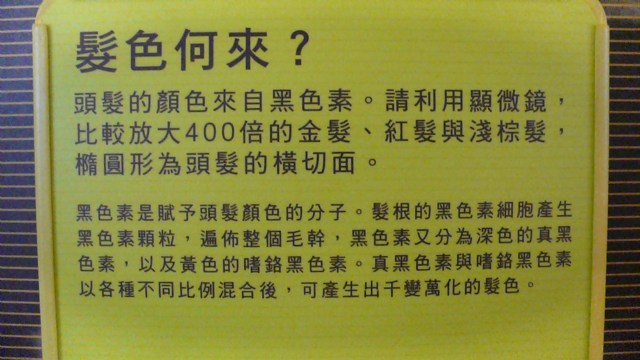 一般護色洗髮精可以使染後頭髮維持多久時間不退色?