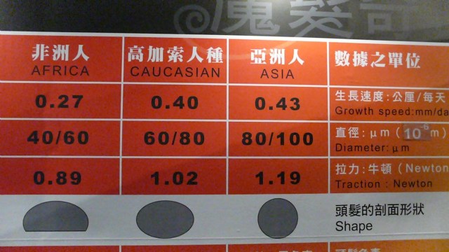 最適合細軟扁塌髮質用的洗髮產品?