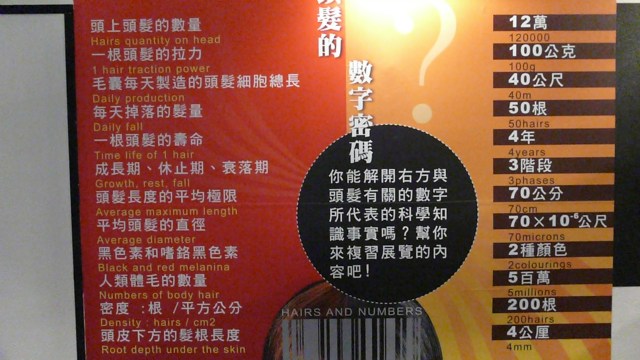 是否該依照季節來選擇頭髮的清潔品和護髮品?