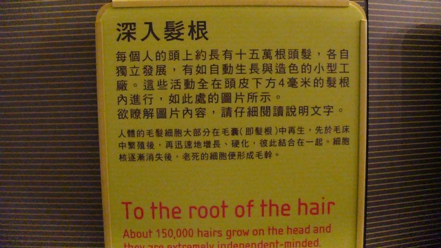 去頭皮屑或清潔頭皮等功能的洗髮精到底該在什麼時候使用?