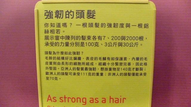 居家頭皮護理及強健髮質知識大公開~