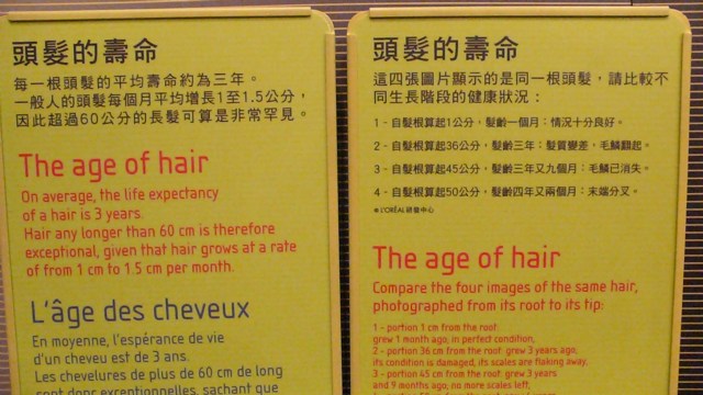 天天洗頭可以嗎?洗髮精要不要常換?