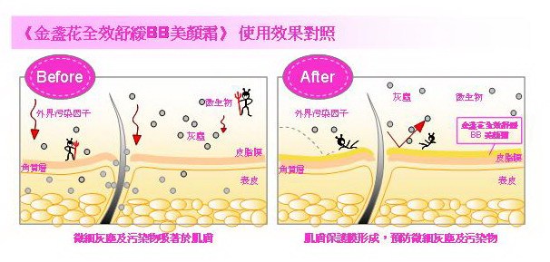 (隔離+潤色+保養)同步進行•金盞花全效舒緩BB美顏霜