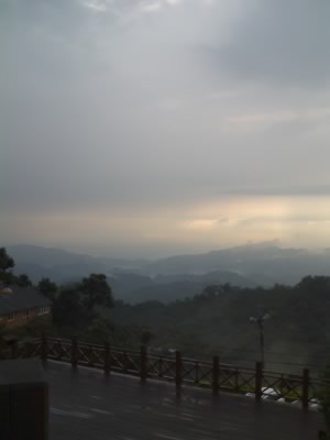 太平酒桶山上的月光森林