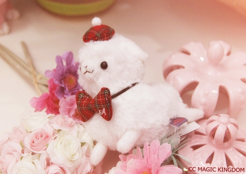 alpaca日本羊驼公仔冬天新系列冬日爱心温暖羊 akb48风活泼羊