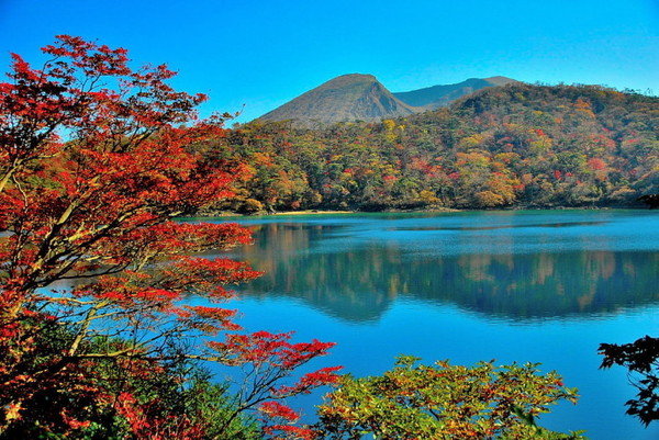 最浪漫的季節來臨!日本最強秋季美景!