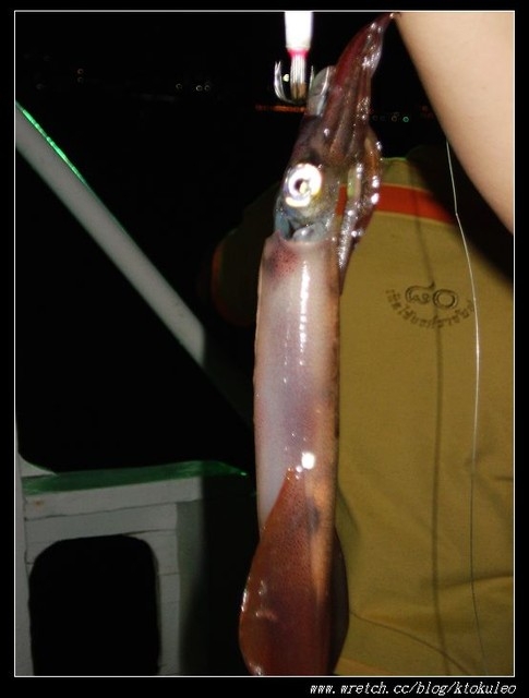 2010泰國行~DAY4 東芭樂園+星空海巡弋夜釣墨魚+美軍俱樂部不夜城
