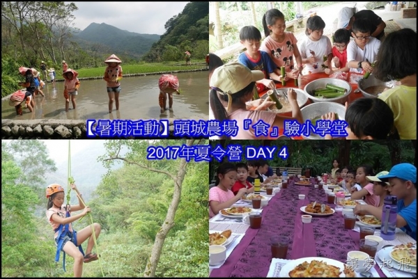【暑期活動】頭城農場『食』驗小學堂2017年夏令營 DAY 4~『食』在巷弄(插秧、採菜、手作米食、樹攀、營火晚餐、影片)