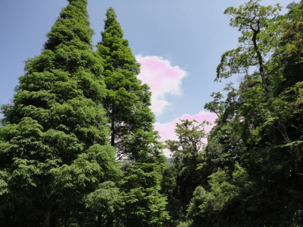 員工旅遊~宜蘭福山植物園+武暖+龜山島尋航