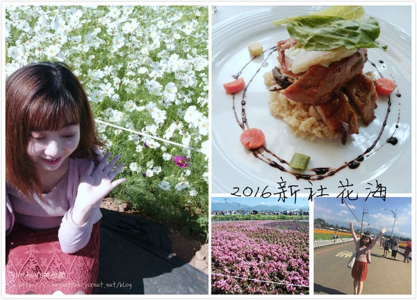 ♥生活♥2016新社花海 x 千樺花園簡單遊(食)記分享