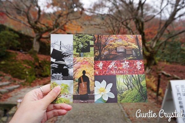 【2016京都自由行✈行程推薦】Day 2. 天龍寺 常寂光寺 嵐山小火車賞楓一日遊 吃拉麵日式點心的充實一天!