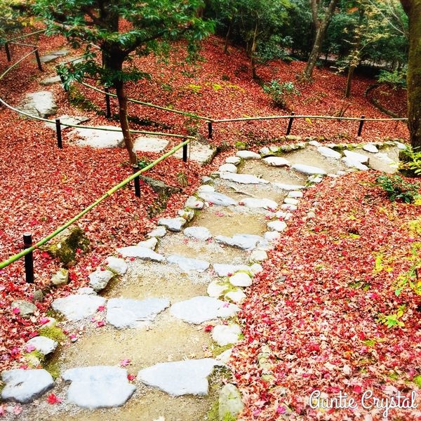 16關西自由行 京都美食推薦 京都の和菓子老松嵐山店走了好久的嵐山歇腳好去處有好吃軟嫩黑糖蕨餅以及好美和菓子推薦 甜點必吃 水晶安蹄 Aunt Crystal 不務正業過生活部落格