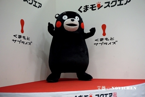 ▌日本九州 ▌【景點】熊本超夯吉祥物 ♥ くまモン KUMAMON 酷MA萌熊部長辦公室 ♥