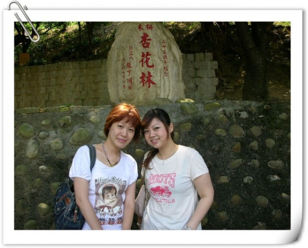 木柵杏花林遊記