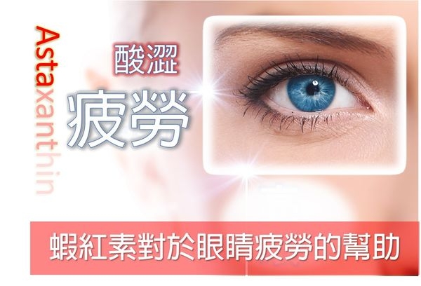 眼睛酸澀新救兵:蝦紅素(藻紅素)