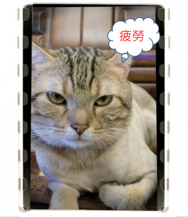 補充B群,提神抗疲勞?