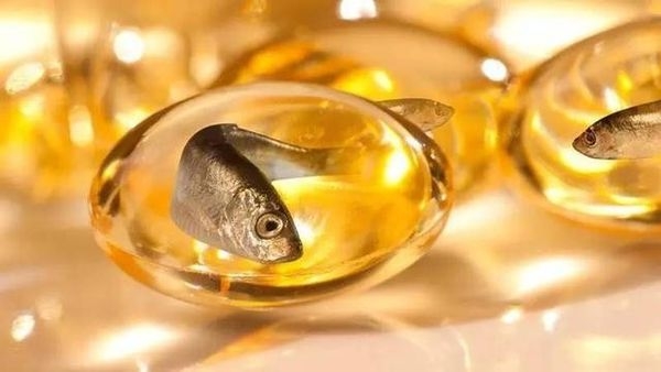市售常見魚油產品比較