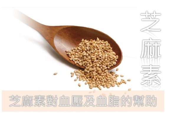 小芝麻,大功用:芝麻素對血壓及血脂的幫助
