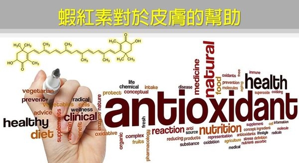 皮膚青春守護神:蝦紅素