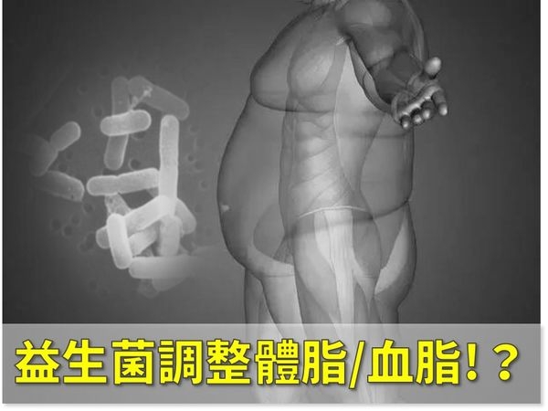 益生菌輔助體脂/血脂控制的效益