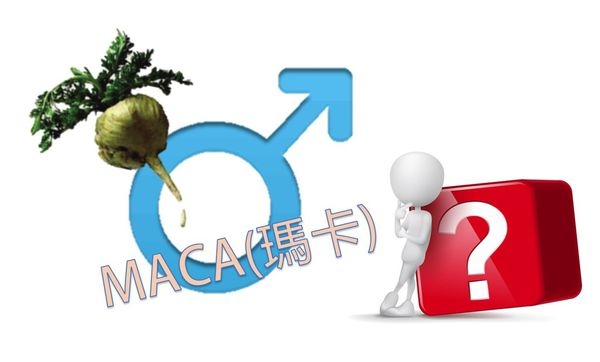 男性壯陽聖品:瑪卡,該吃嗎?