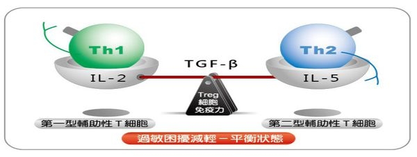 市售過敏益生菌的比較